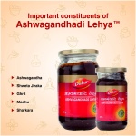 Vijay Ayurveda pharmacy