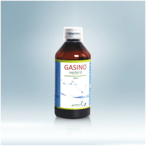 GASINO SYRUP 200 ML