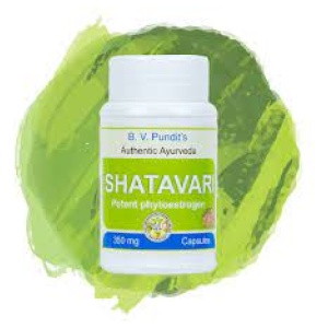 SHATAVARI CHURNA 50G B.V.PUNDI 50GM